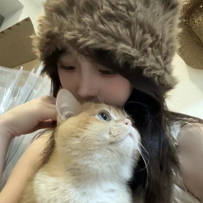 狸想世界
